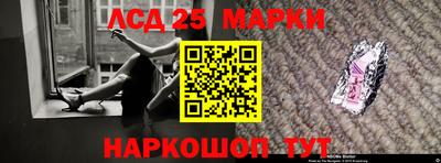 гидропоника Брянск