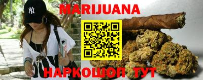 гидропоника Брянск