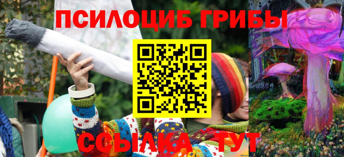 Псилоцибиновые грибы Psilocybine cubensis  Вход с VPN  Тосно 